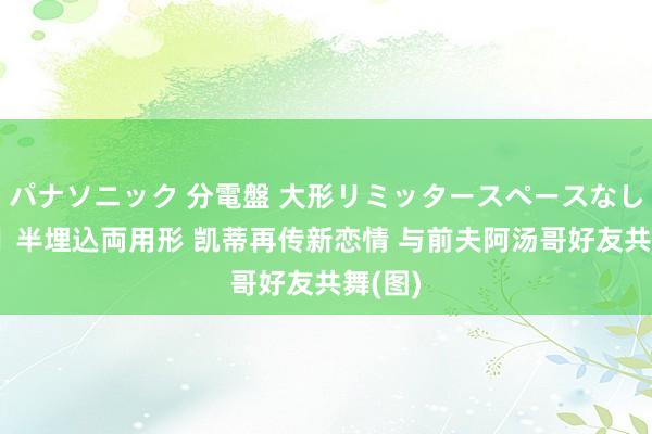 パナソニック 分電盤 大形リミッタースペースなし 露出・半埋込両用形 凯蒂再传新恋情 与前夫阿汤哥好友共舞(图)