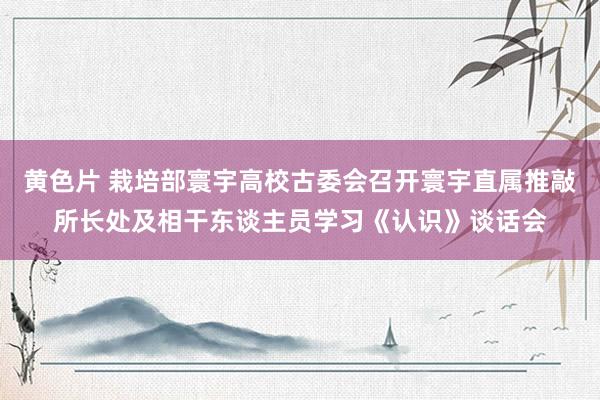 黄色片 栽培部寰宇高校古委会召开寰宇直属推敲所长处及相干东谈主员学习《认识》谈话会