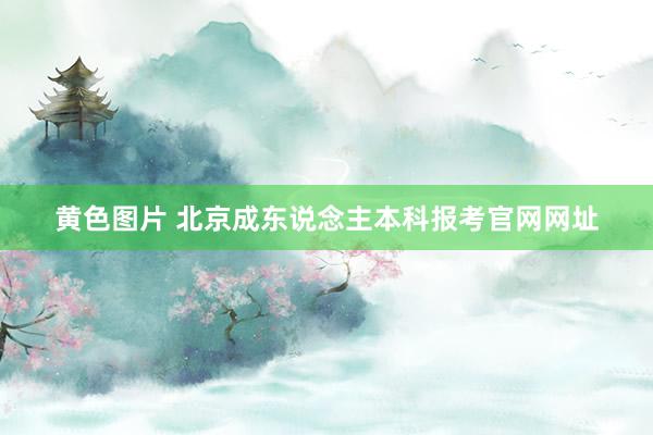 黄色图片 北京成东说念主本科报考官网网址