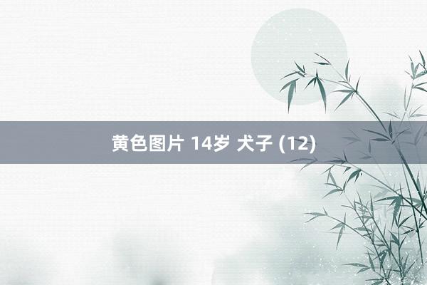 黄色图片 14岁 犬子 (12)