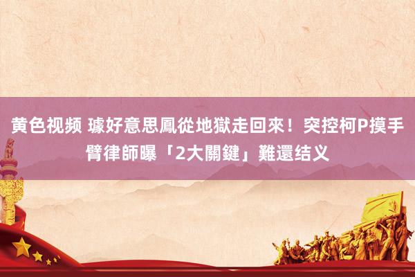 黄色视频 璩好意思鳳從地獄走回來！突控柯P摸手臂　律師曝「2大關鍵」難還结义