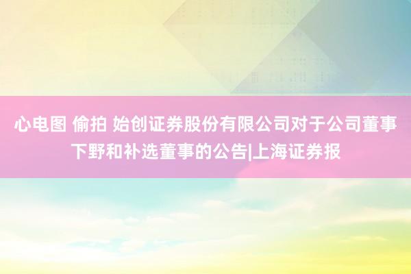 心电图 偷拍 始创证券股份有限公司对于公司董事下野和补选董事的公告|上海证券报