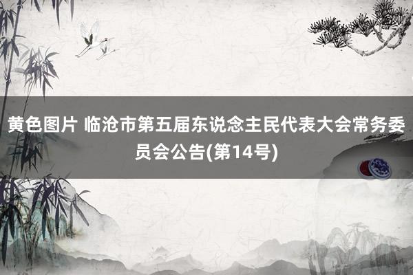 黄色图片 临沧市第五届东说念主民代表大会常务委员会公告(第14号)