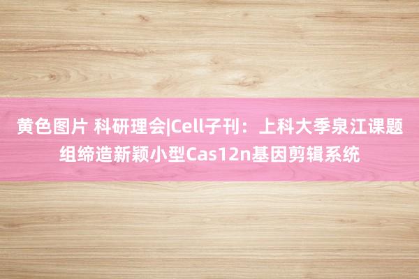 黄色图片 科研理会|Cell子刊：上科大季泉江课题组缔造新颖小型Cas12n基因剪辑系统