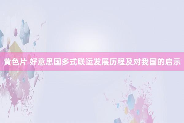 黄色片 好意思国多式联运发展历程及对我国的启示