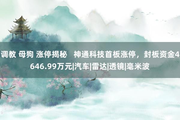 调教 母狗 涨停揭秘   神通科技首板涨停，封板资金4646.99万元|汽车|雷达|透镜|毫米波