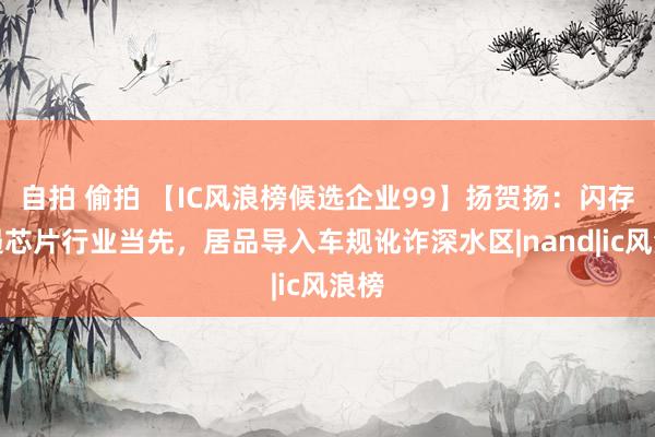 自拍 偷拍 【IC风浪榜候选企业99】扬贺扬：闪存抑遏芯片行业当先，居品导入车规讹诈深水区|nand|ic风浪榜