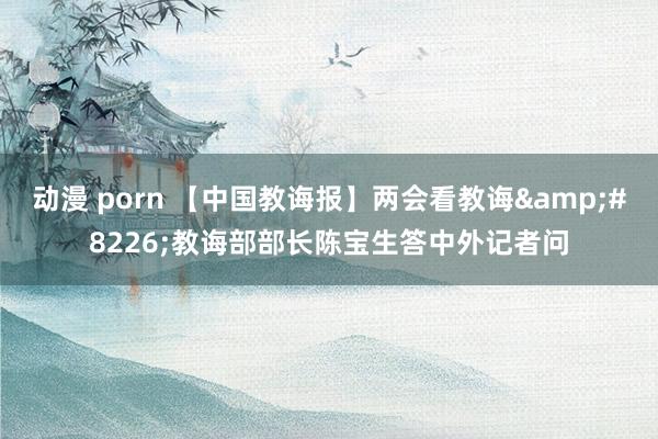 动漫 porn 【中国教诲报】两会看教诲&#8226;教诲部部长陈宝生答中外记者问
