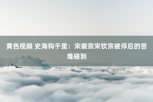 黄色视频 史海钩千里：宋徽宗宋钦宗被俘后的苦难碰到