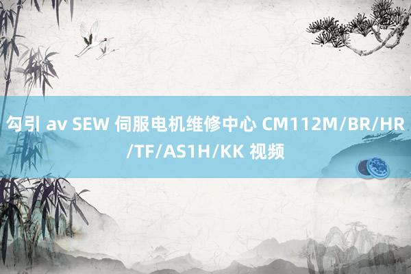 勾引 av SEW 伺服电机维修中心 CM112M/BR/HR/TF/AS1H/KK 视频