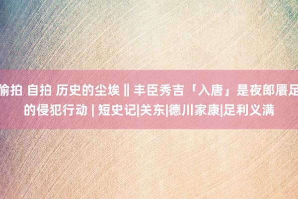 偷拍 自拍 历史的尘埃‖丰臣秀吉「入唐」是夜郎餍足的侵犯行动 | 短史记|关东|德川家康|足利义满