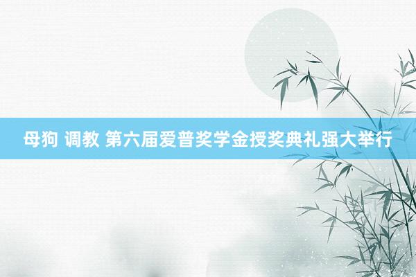 母狗 调教 第六届爱普奖学金授奖典礼强大举行