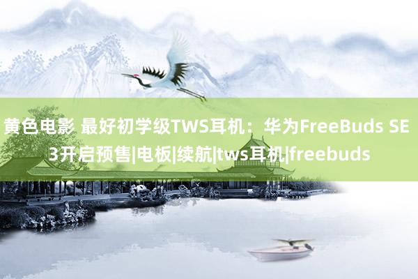 黄色电影 最好初学级TWS耳机：华为FreeBuds SE 3开启预售|电板|续航|tws耳机|freebuds