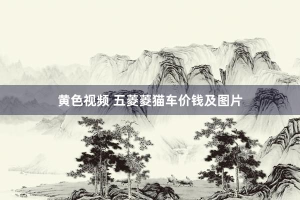 黄色视频 五菱菱猫车价钱及图片
