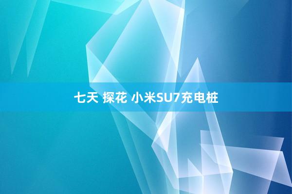 七天 探花 小米SU7充电桩