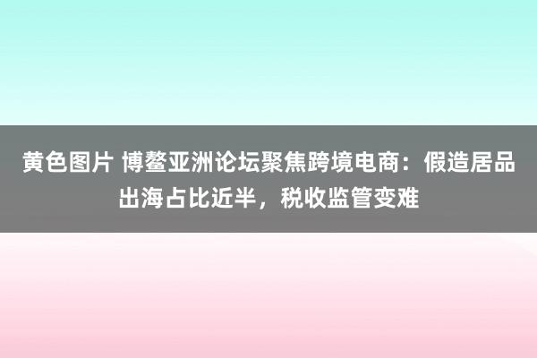 黄色图片 博鳌亚洲论坛聚焦跨境电商：假造居品出海占比近半，税收监管变难