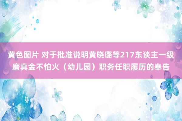 黄色图片 对于批准说明黄晓璐等217东谈主一级磨真金不怕火（幼儿园）职务任职履历的奉告