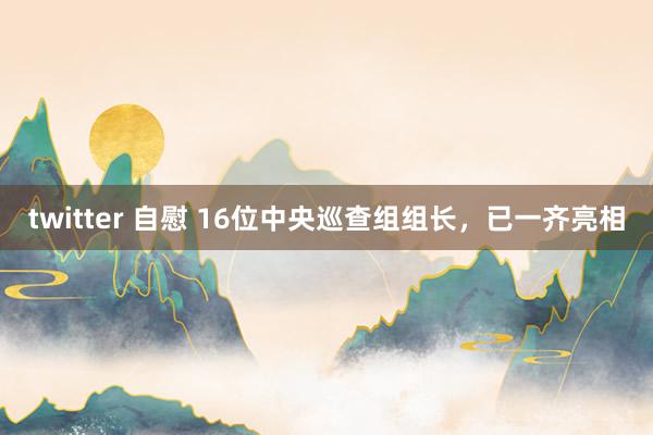 twitter 自慰 16位中央巡查组组长，已一齐亮相