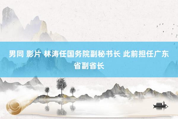 男同 影片 林涛任国务院副秘书长 此前担任广东省副省长