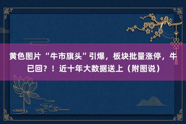 黄色图片 “牛市旗头”引爆，板块批量涨停，牛已回？！近十年大数据送上（附图说）