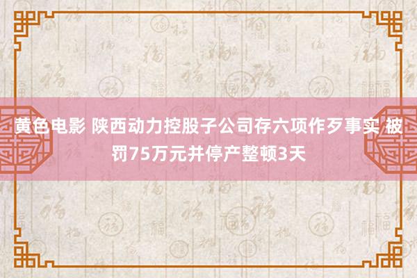 黄色电影 陕西动力控股子公司存六项作歹事实 被罚75万元并停产整顿3天