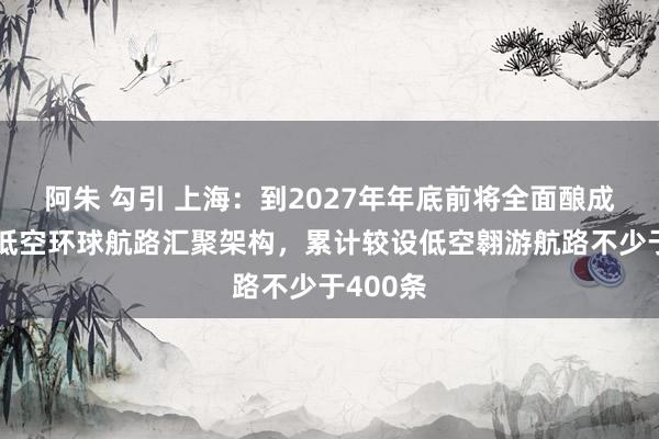 阿朱 勾引 上海：到2027年年底前将全面酿成上海市低空环球航路汇聚架构，累计较设低空翱游航路不少于400条
