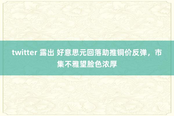 twitter 露出 好意思元回落助推铜价反弹，市集不雅望脸色浓厚