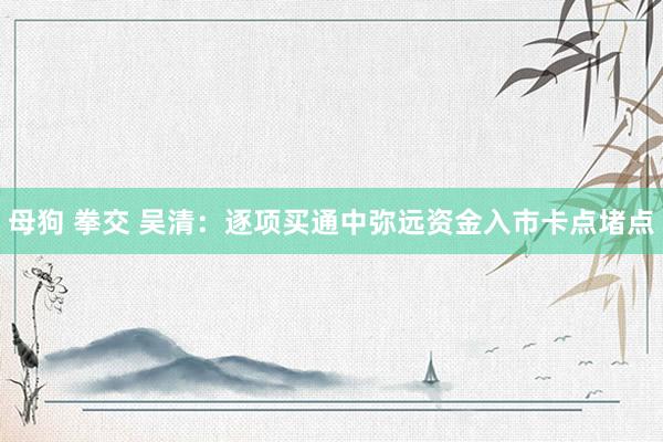 母狗 拳交 吴清：逐项买通中弥远资金入市卡点堵点