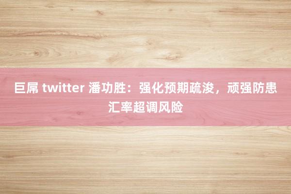 巨屌 twitter 潘功胜：强化预期疏浚，顽强防患汇率超调风险